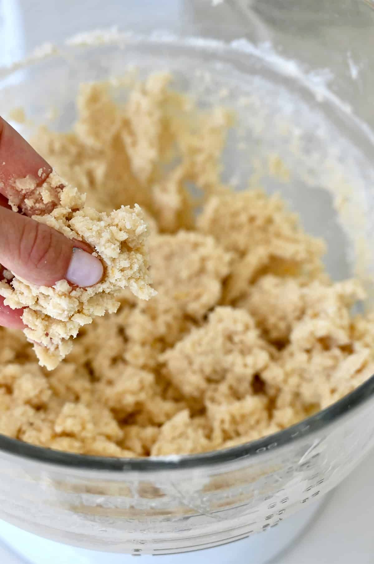 A hand pressing crumbly shortbread crust dough between two fingers to show a sandy, buttery texture that holds its shape.