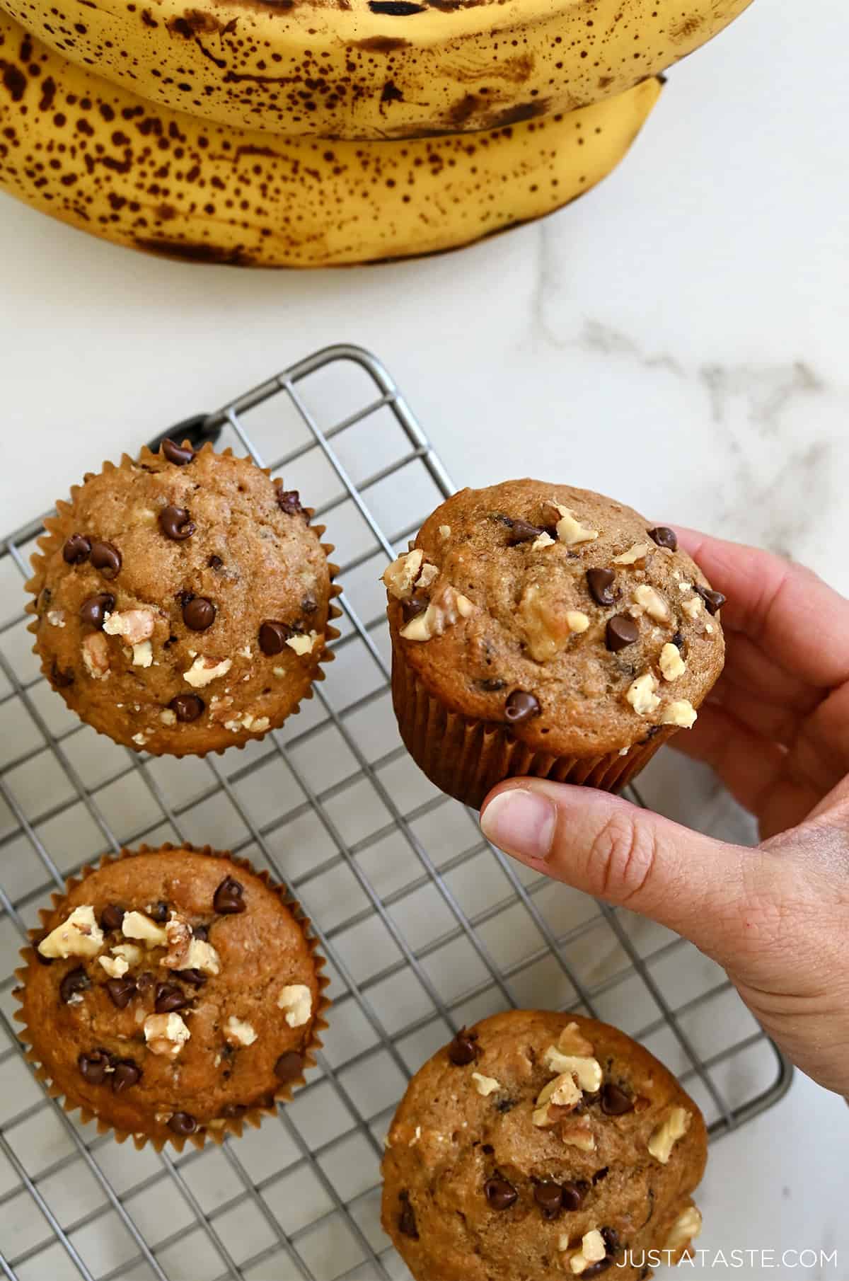 A hand holds a protein banana muffin with mini chocolate chips and chopped walnuts.