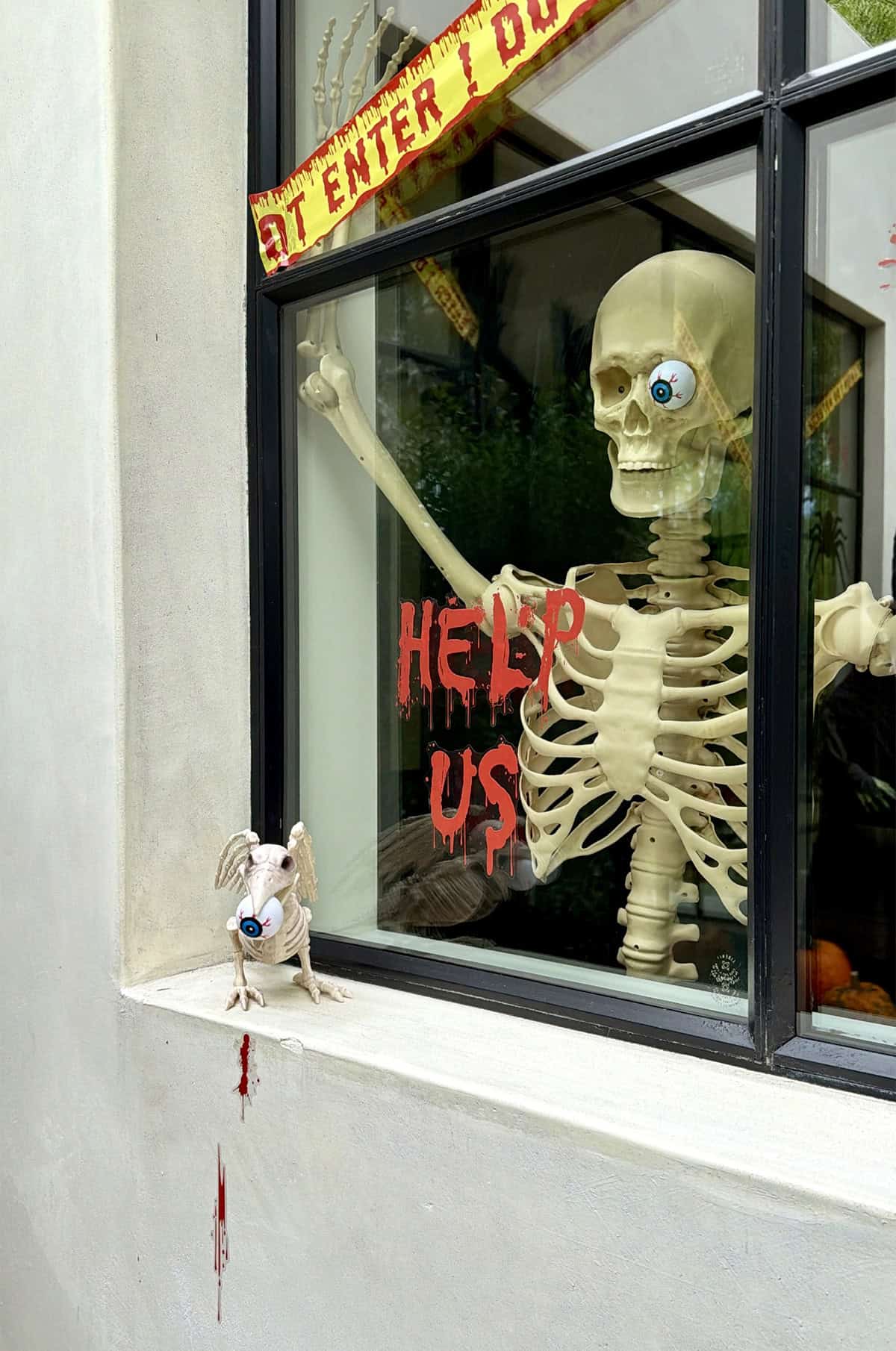 Halloween decorations in a window.