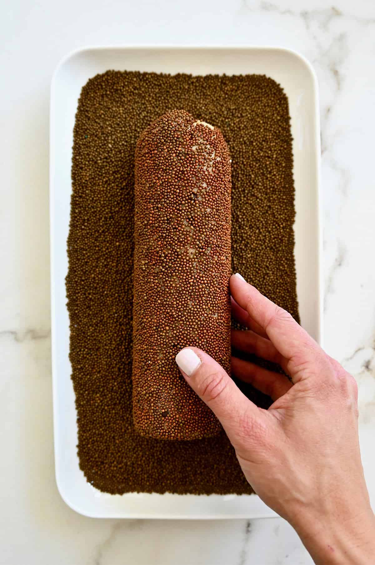 Rolling a log of chocolate chip cookie dough in chocolate sprinkles.